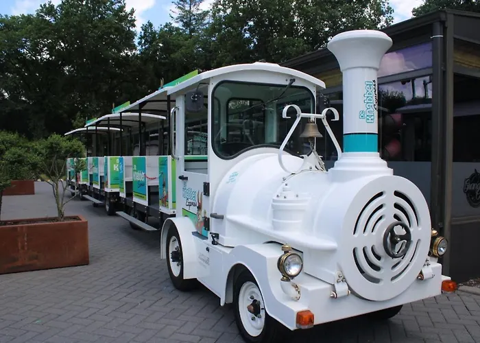 Chalet Kindvriendelijk Luxe In De Bossen Met Prive Sauna