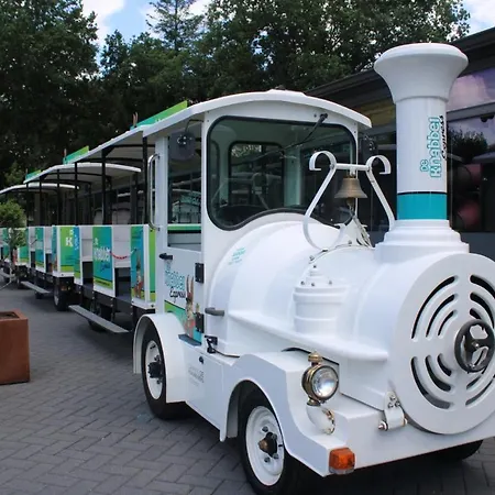 בקתה Kindvriendelijk Luxe In De Bossen Met Prive Sauna